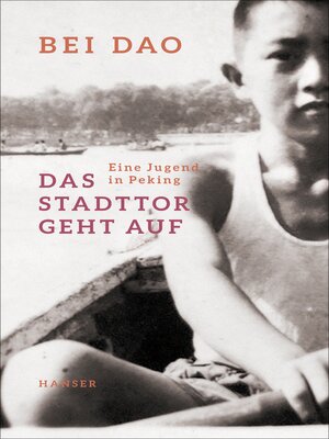 cover image of Das Stadttor geht auf